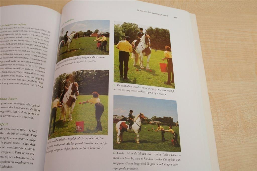 Het Paniekvrije Paard — Praktische Schriktraining, Ophalen of Verzenden, Gelezen, Paarden of Pony's