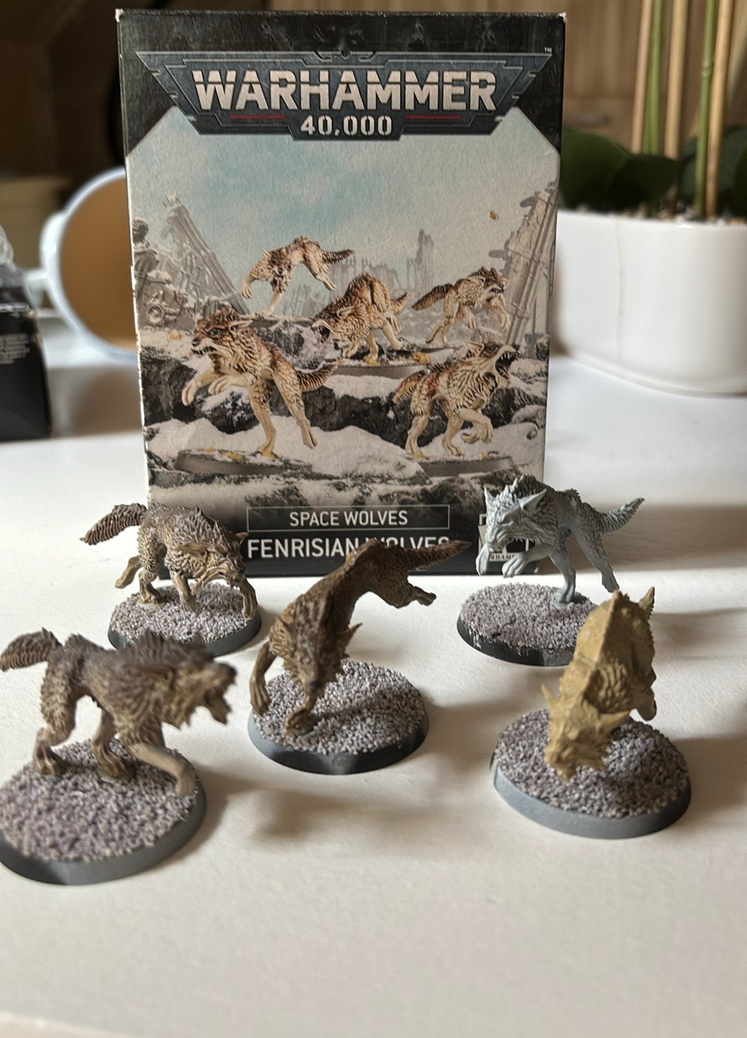 Warhammer Space Wolves, Ophalen, Gebruikt, Warhammer, Figuurtje(s)