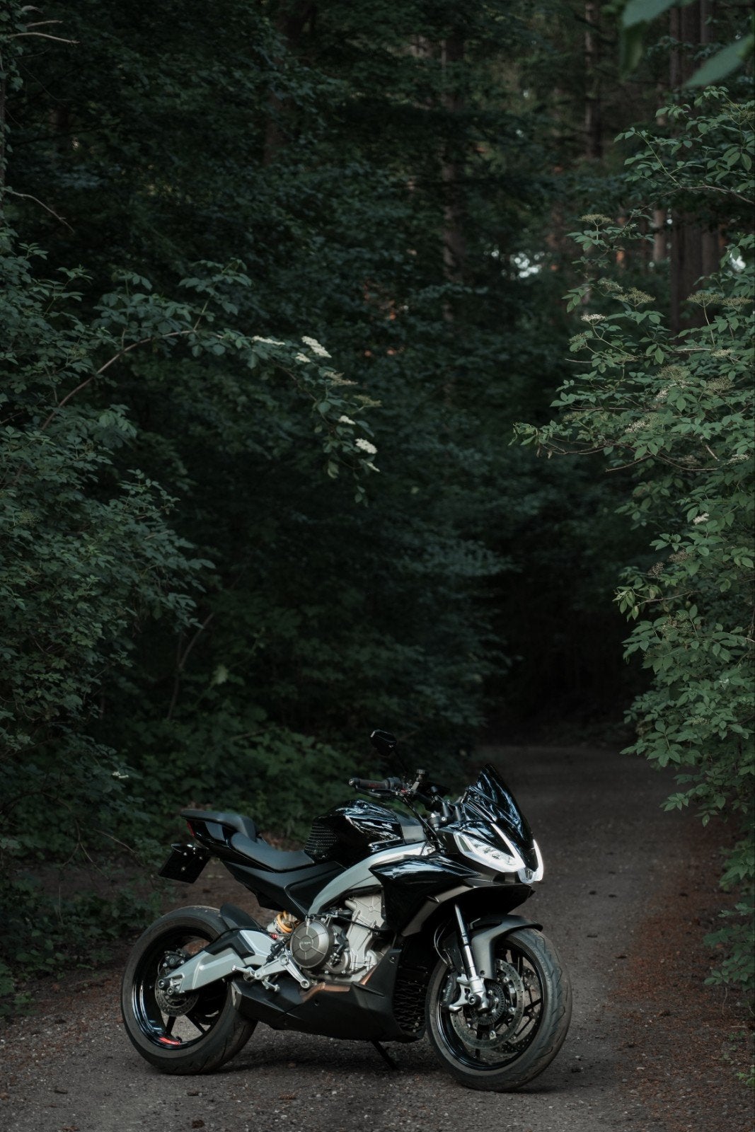 Aprilia Tuono 660 Factory 2023 Origineel NL Fabrieksgarantie, Traction Control, 2 cilinders, Occasion, Motorrijbewijs A