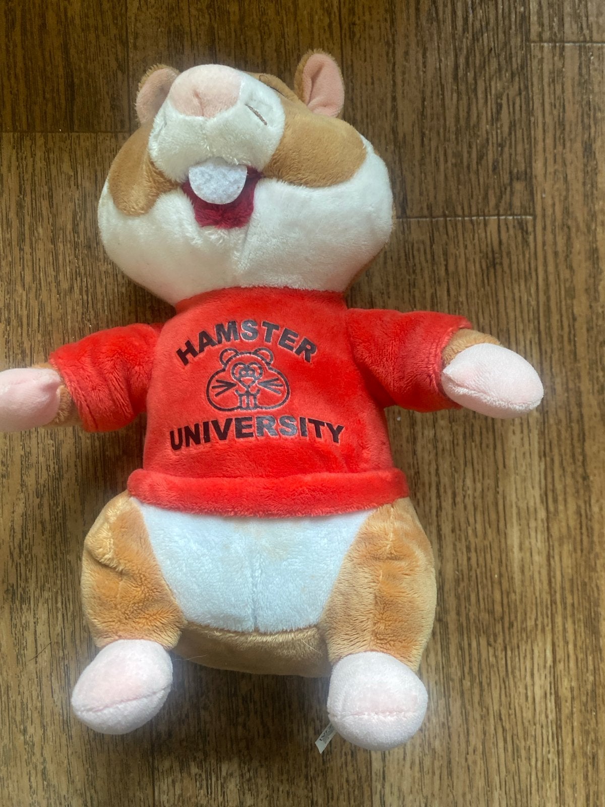 Albert Heijn Hamster University Knuffel, Hamster, Ophalen of Verzenden, Zo goed als nieuw, Middelgroot (20 tot 80 cm)