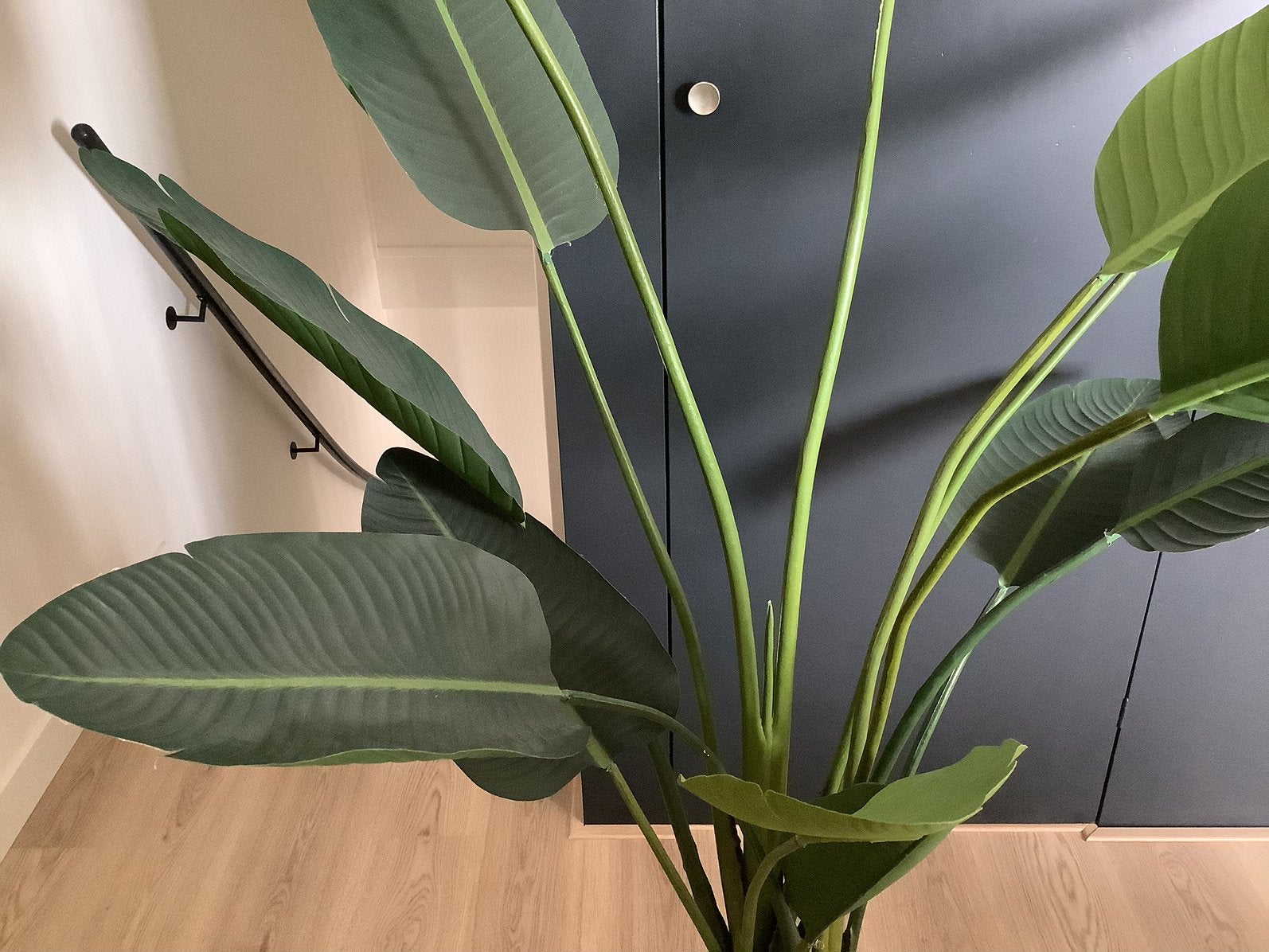 Prachtige kunstplant te koop., Ophalen, Halfschaduw