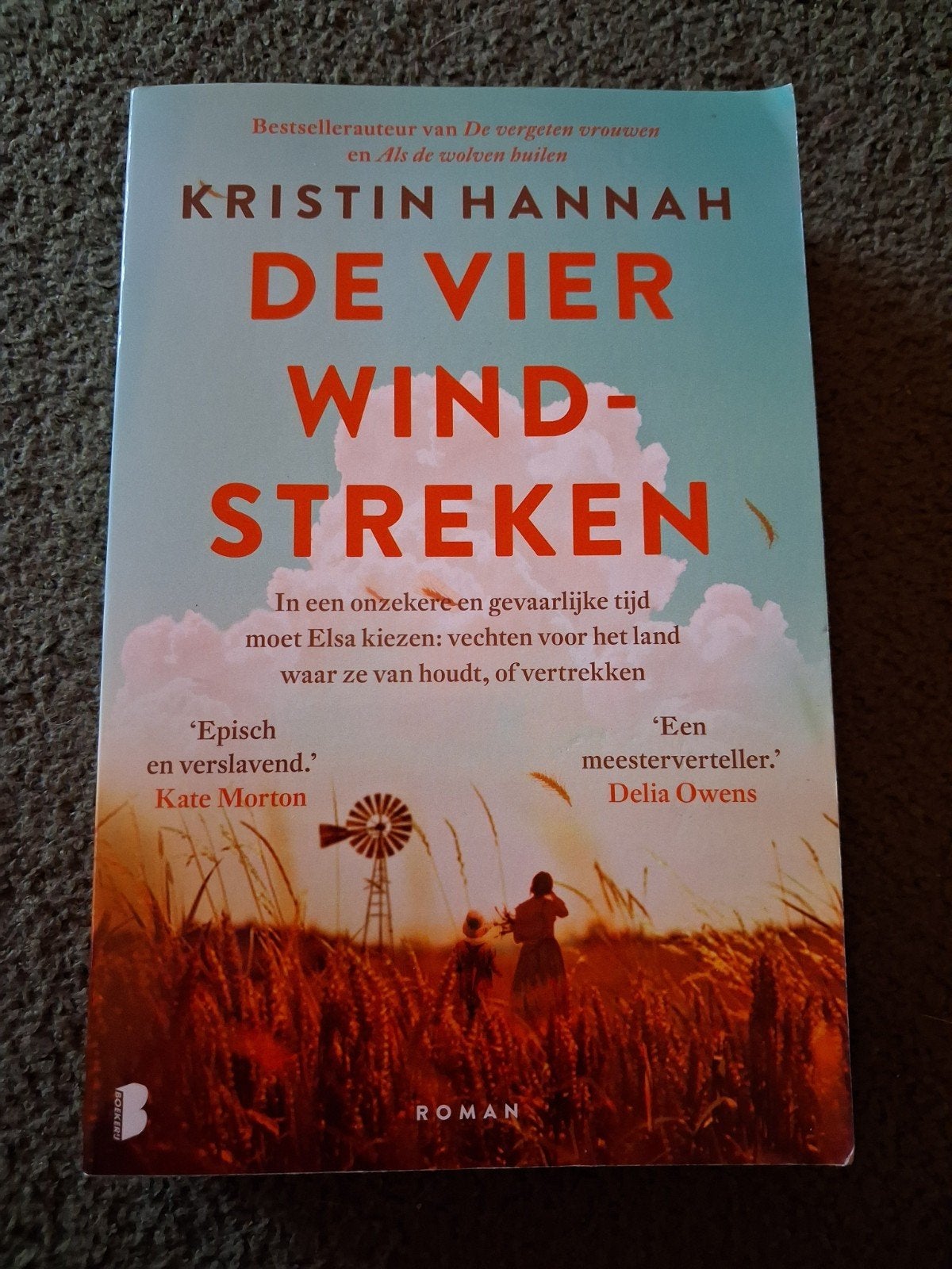 De Vier Windstreken - Kristin Hannah (Roman), Boeken, Ophalen of Verzenden, Zo goed als nieuw, Kristin Hannah, Amerika