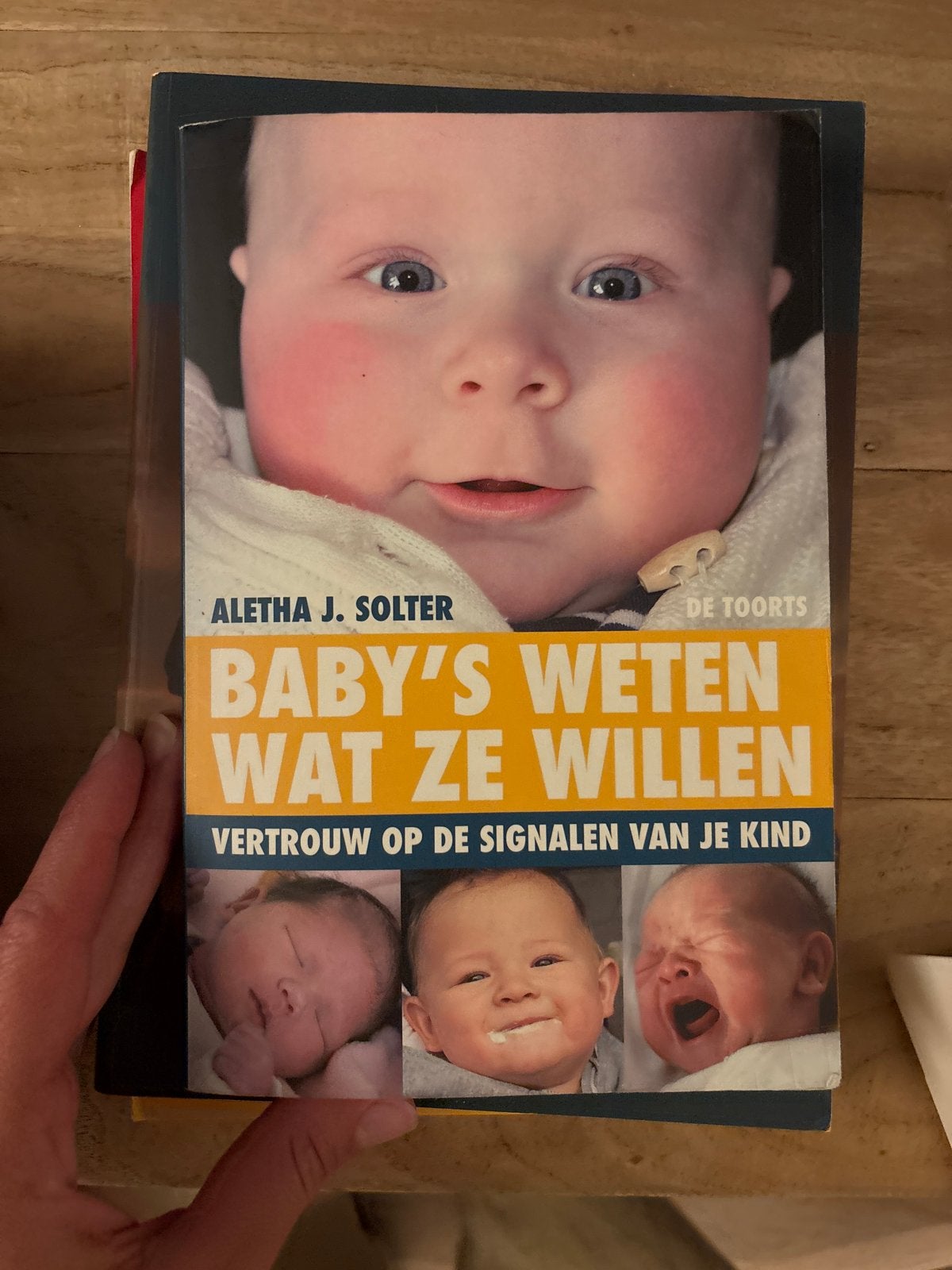 Baby's Weten Wat Ze Willen - A.J. Solter (Opvoeding), Ophalen of Verzenden, Zo goed als nieuw, Opvoeding tot 6 jaar