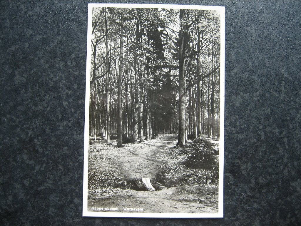 WARNSVELD Kappersbosch, Ophalen of Verzenden, 1940 tot 1960, Gelderland