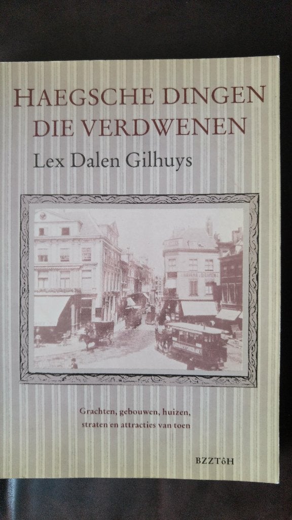 Mooi boek Haegsche dingen die verdwenen, Boeken, Geschiedenis | Stad en Regio, Ophalen of Verzenden, Nieuw