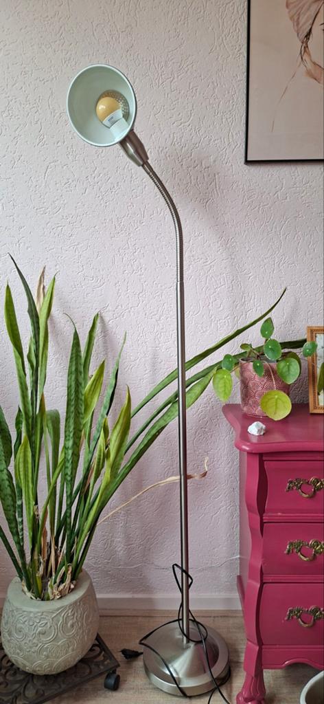 Staande lamp met buigbare arm - perfect voor lezen, Ophalen, Gebruikt, Modern, functioneel, 100 tot 150 cm