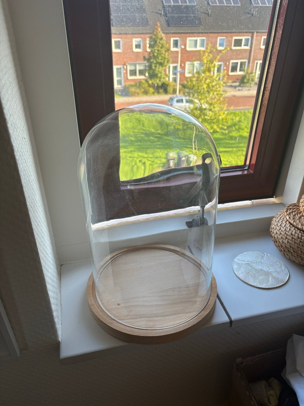 Glazen stolp met houten onderzetter, Ophalen of Verzenden, Zo goed als nieuw, Glas, Modern