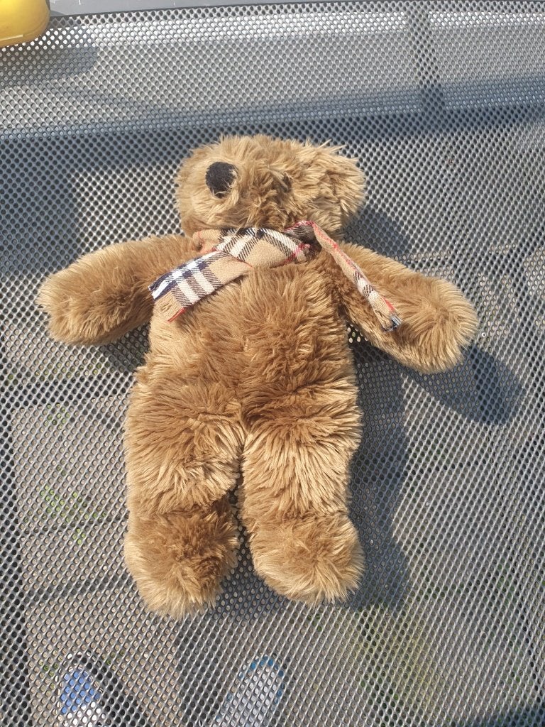 Zachte teddybeer met sjaal - Zo goed als nieuw, Overige merken, Overige karakters, Beer, Ophalen of Verzenden