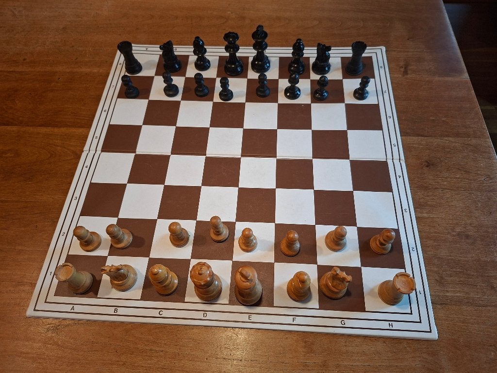 Schaakspel met kunststof speelbord, Een of twee spelers, Ophalen of Verzenden, Gebruikt