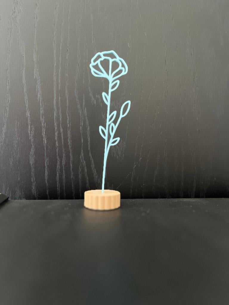 Geboortebloem, maand Januari - Anjer, Meerkleurig, Overige stijlen, Nieuw, Kunststof