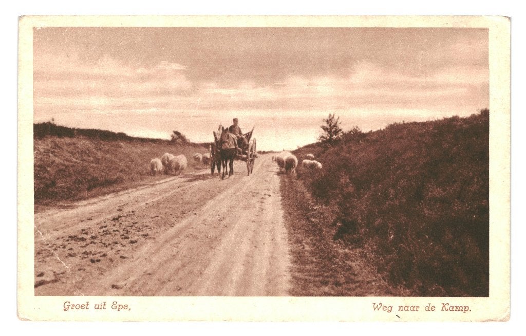 947460	Epe	jr 10 20	Weg naar de Kamp	Postzegel afgeweekt