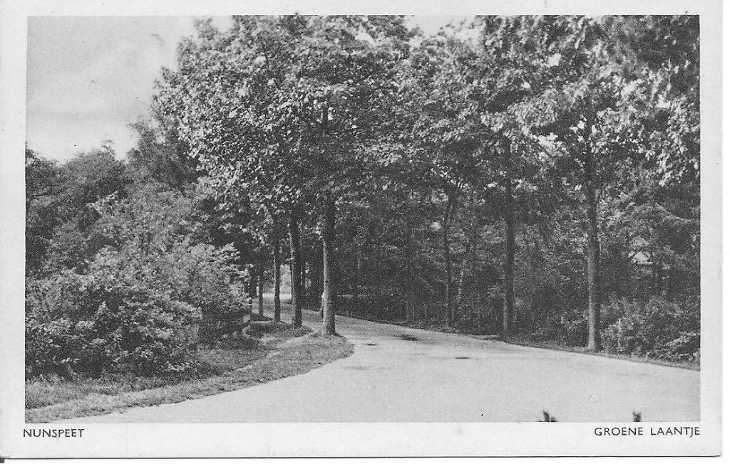 Nunspeet Groene Laantje., Verzamelen, Ophalen of Verzenden, 1940 tot 1960, Ongelopen, Gelderland