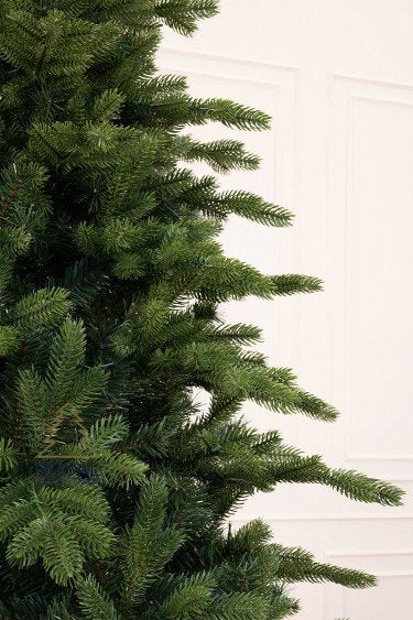 VOOR EEN VERENIGING ZOEKEN WIJ KERSTBOMEN, Ophalen of Verzenden