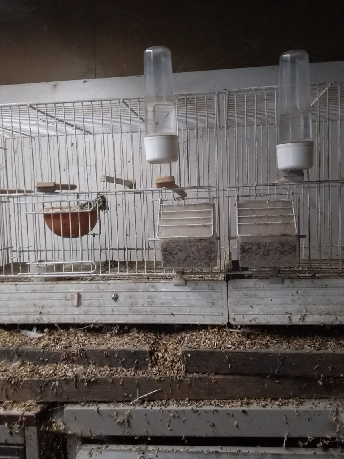 2 kooien, Dieren en Toebehoren, Ophalen of Verzenden, Zo goed als nieuw, Vogelkooi