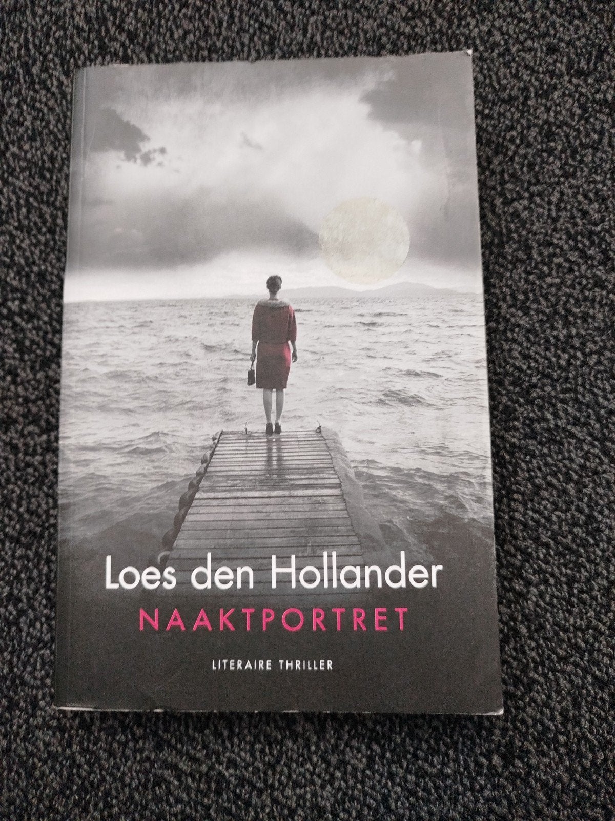 Naaktportret van Loes Hollander, Ophalen of Verzenden, Zo goed als nieuw