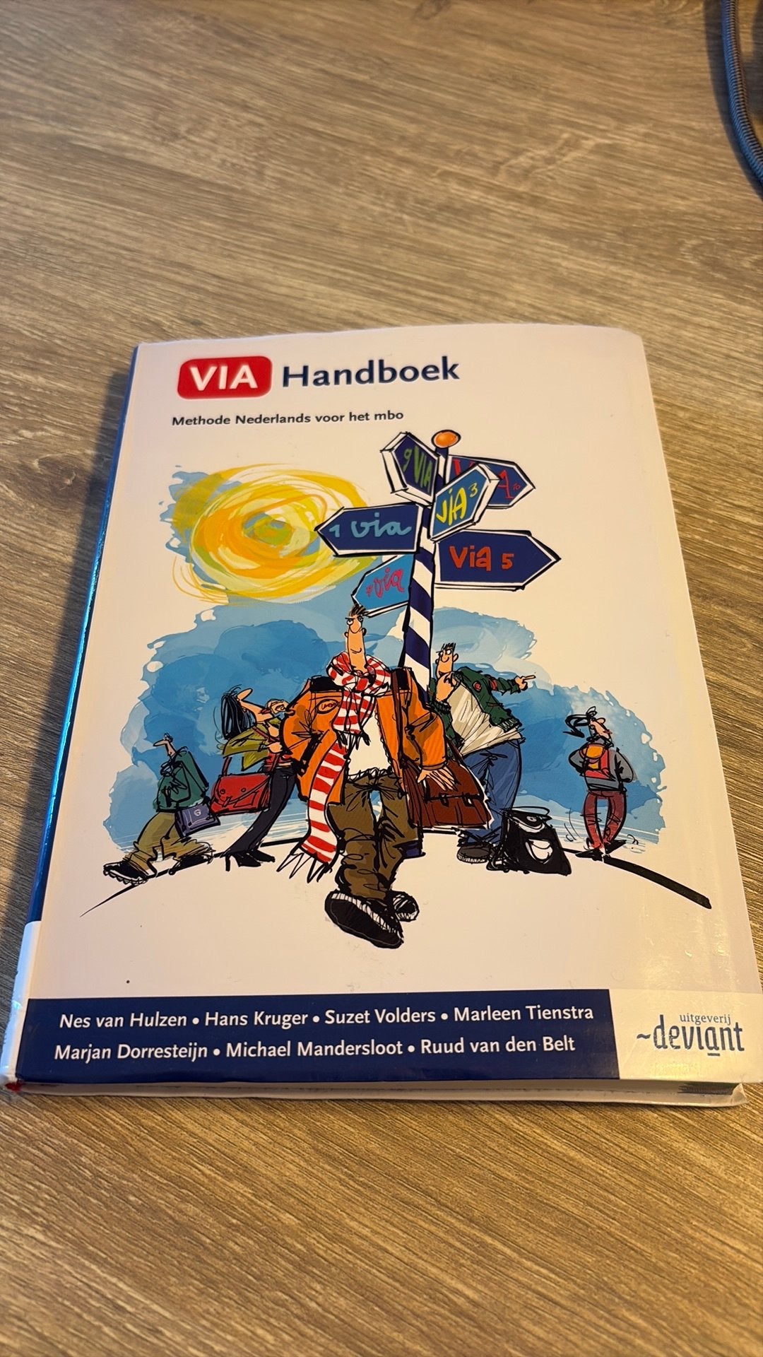Via handboek Nederlands voor MBO, Boeken, Schoolboeken, Ophalen of Verzenden, Zo goed als nieuw, Overige niveaus, Nederlands