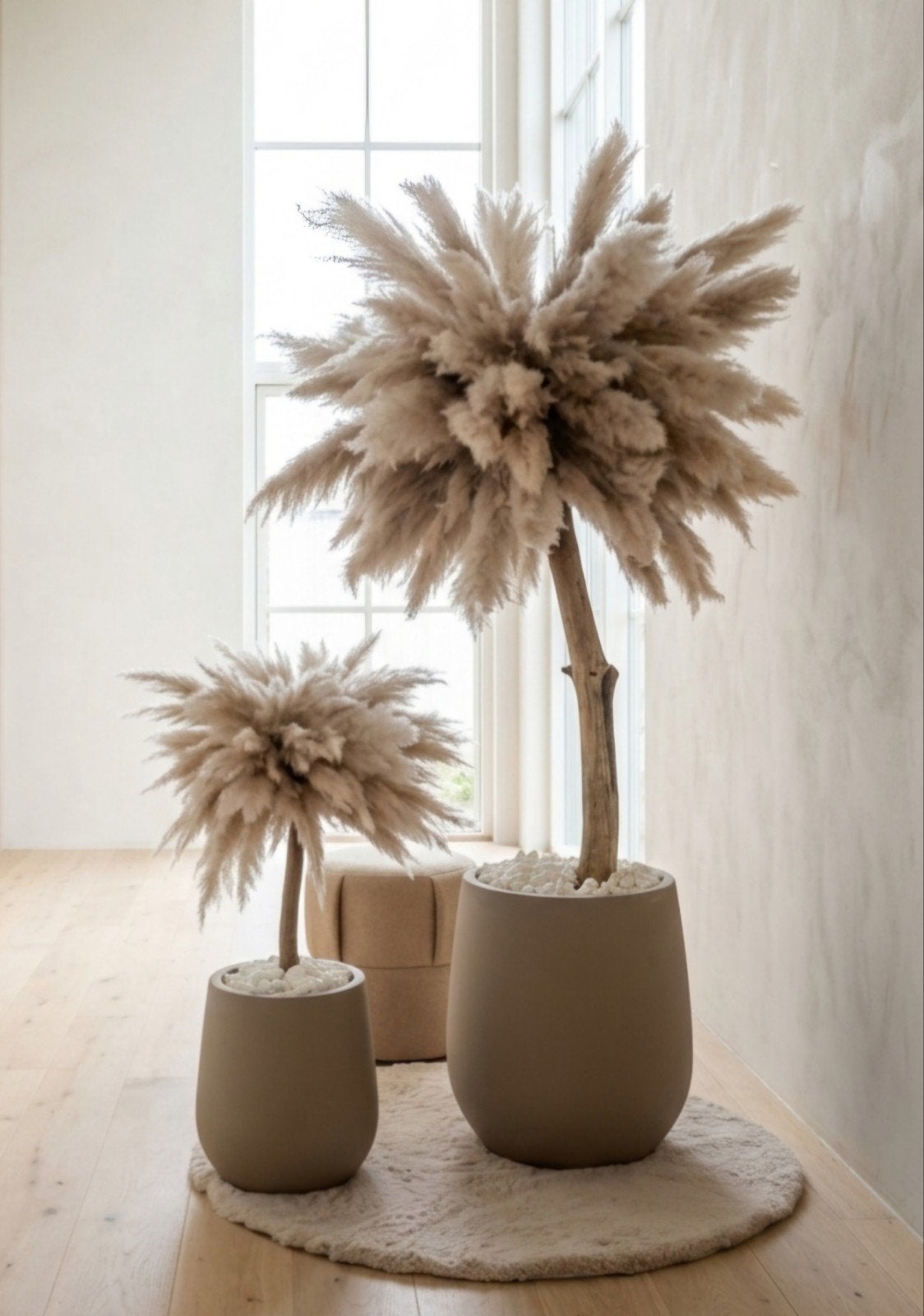 Pampasbomen (set) | pampasboom | pampas boom, Binnen, Natuurlijk materiaal, Handgemaakt, Nieuw