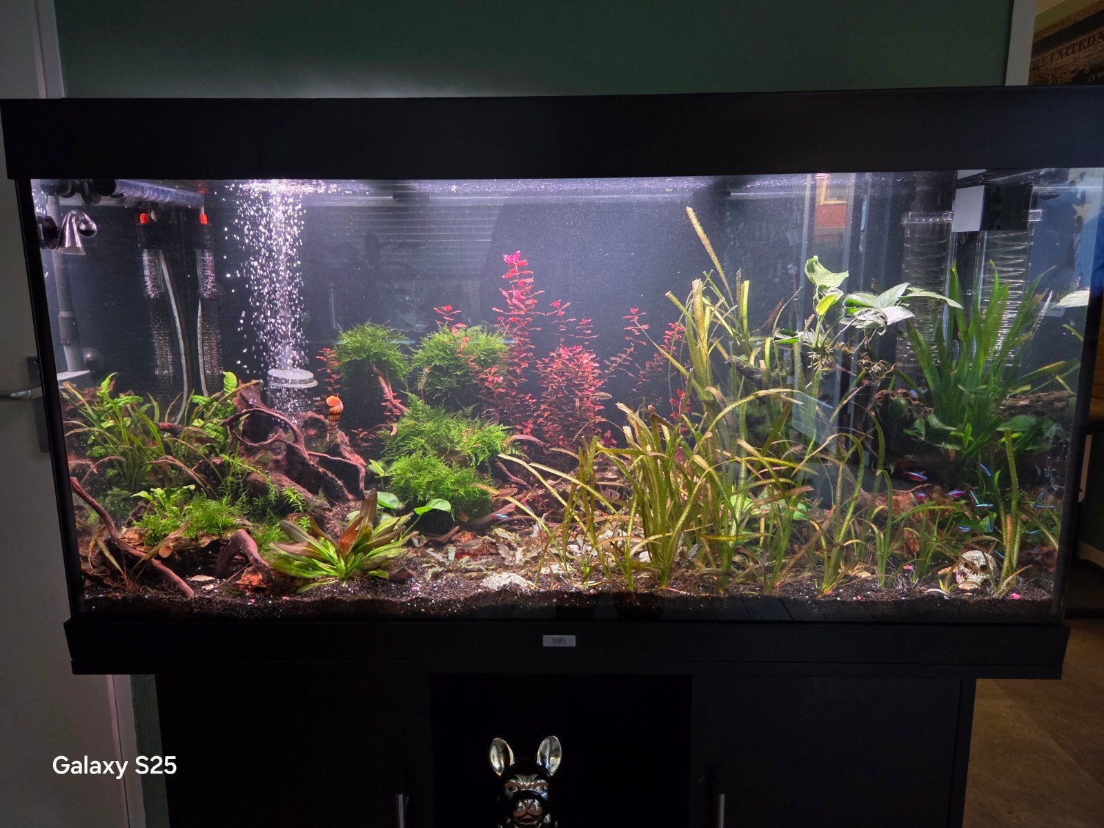 te koop aquarium 350 liter, Dieren en Toebehoren, Vissen | Aquaria en Toebehoren, Ophalen of Verzenden