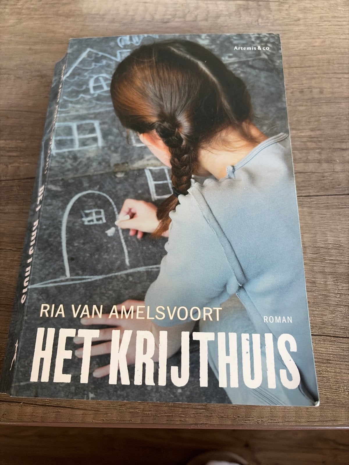 Het Krijthuis - Ria van Amelsvoort Roman, Ophalen of Verzenden, Gelezen, Nederland