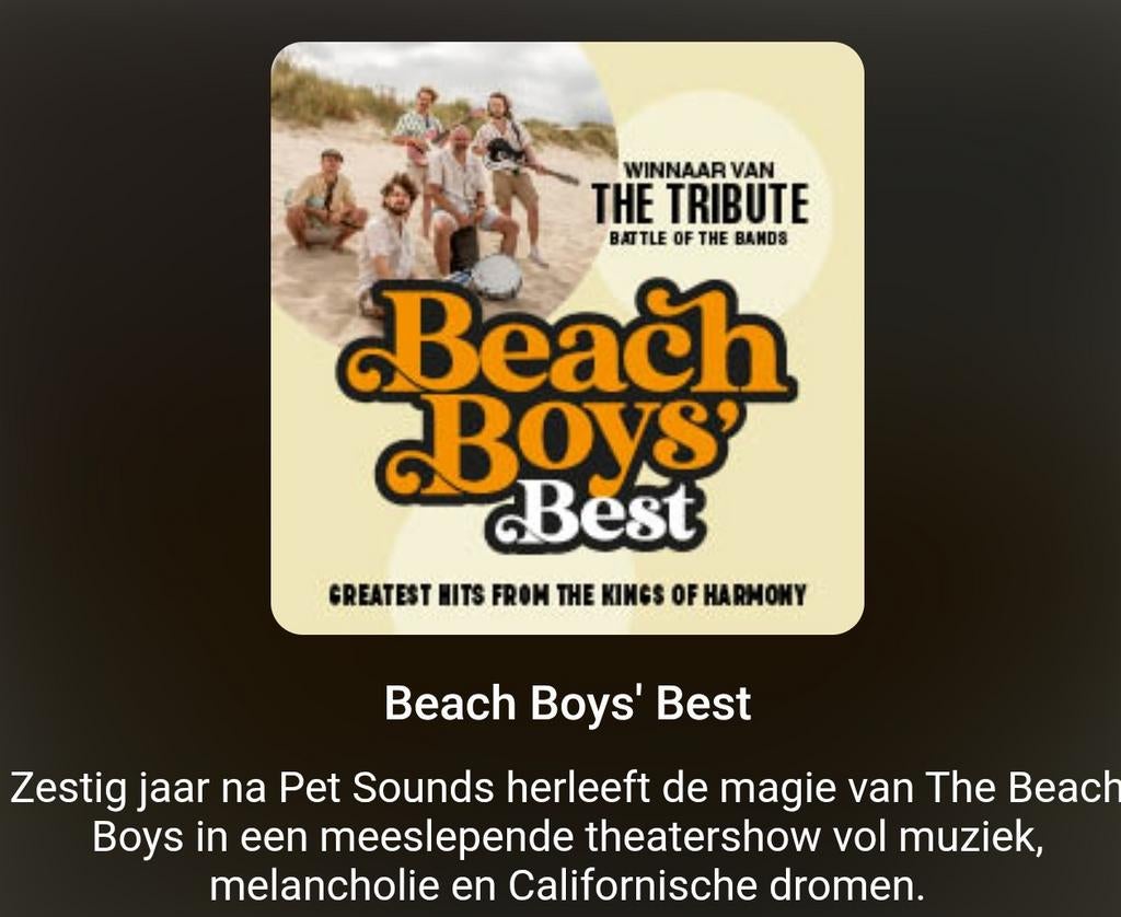 Tickets Beach Boys Best 15 mei Martini Plaza Groningen, Tickets en Kaartjes, Drie personen of meer