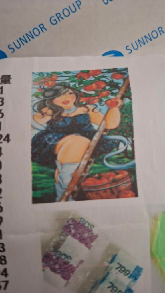 Diamond Painting Vrouw met Appels - 30x40 cm, Ophalen of Verzenden