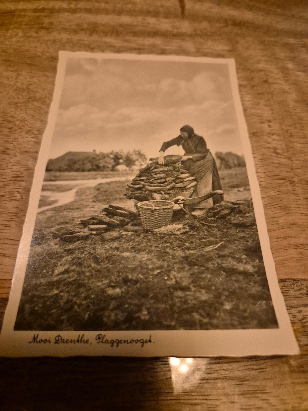 Oude foto: Arbeidster oogst plaggen in Drenthe, Verzamelen, Ophalen of Verzenden