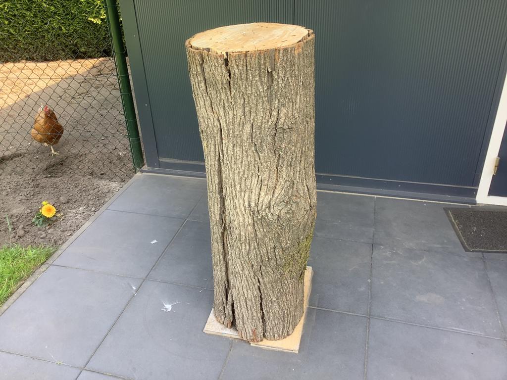 Esdoorn Spijkerblok /hakblok rond 35 cm 110cm lang, Ophalen, Nieuw