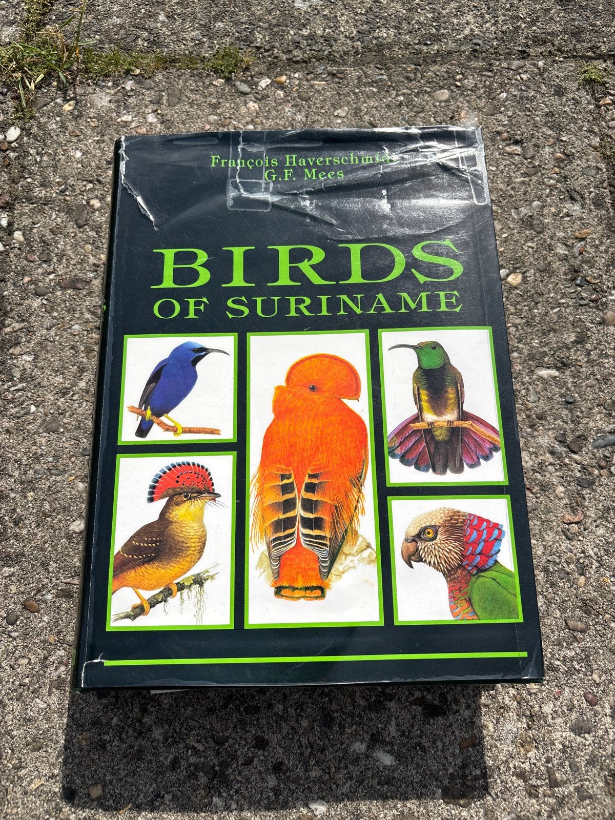 Birds of Suriname - François Haverschmidt & G.F. Mees, Ophalen of Verzenden, Gelezen, Vogels