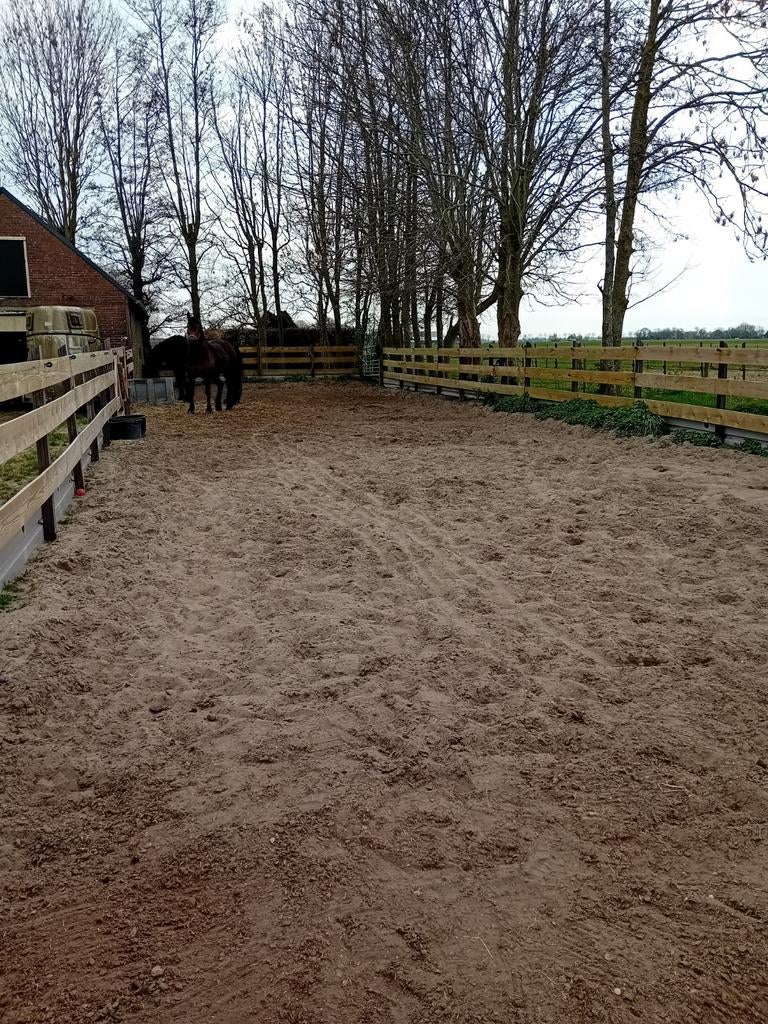 Stalling en Weidegang aangeboden, Dieren en Toebehoren, Stalling en Weidegang, Weidegang