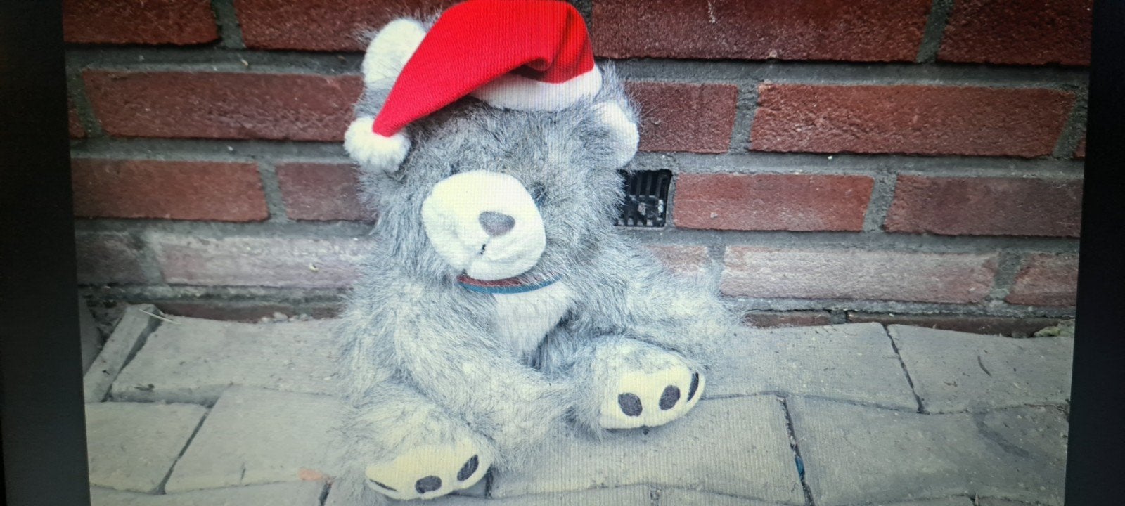 Grijze knuffelbeer met kerstmuts, Disney, Beer, Grijs, Nieuw