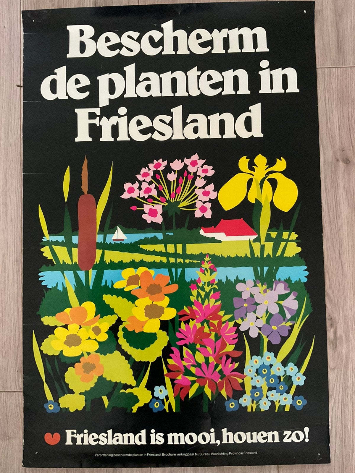Poster “Bescherm de planten in Friesland” uit de jaren ‘70, Verzamelen, Posters, Ophalen of Verzenden, Zo goed als nieuw, Film en Tv