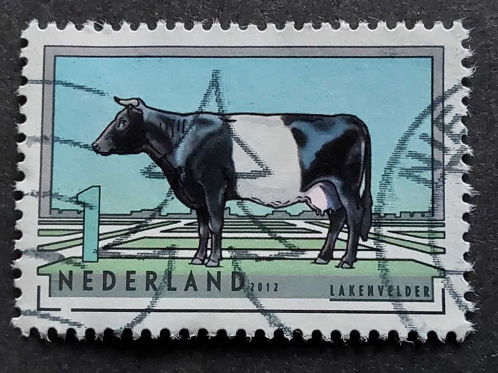 Nederland - Lakenvelder - 2012, Ophalen