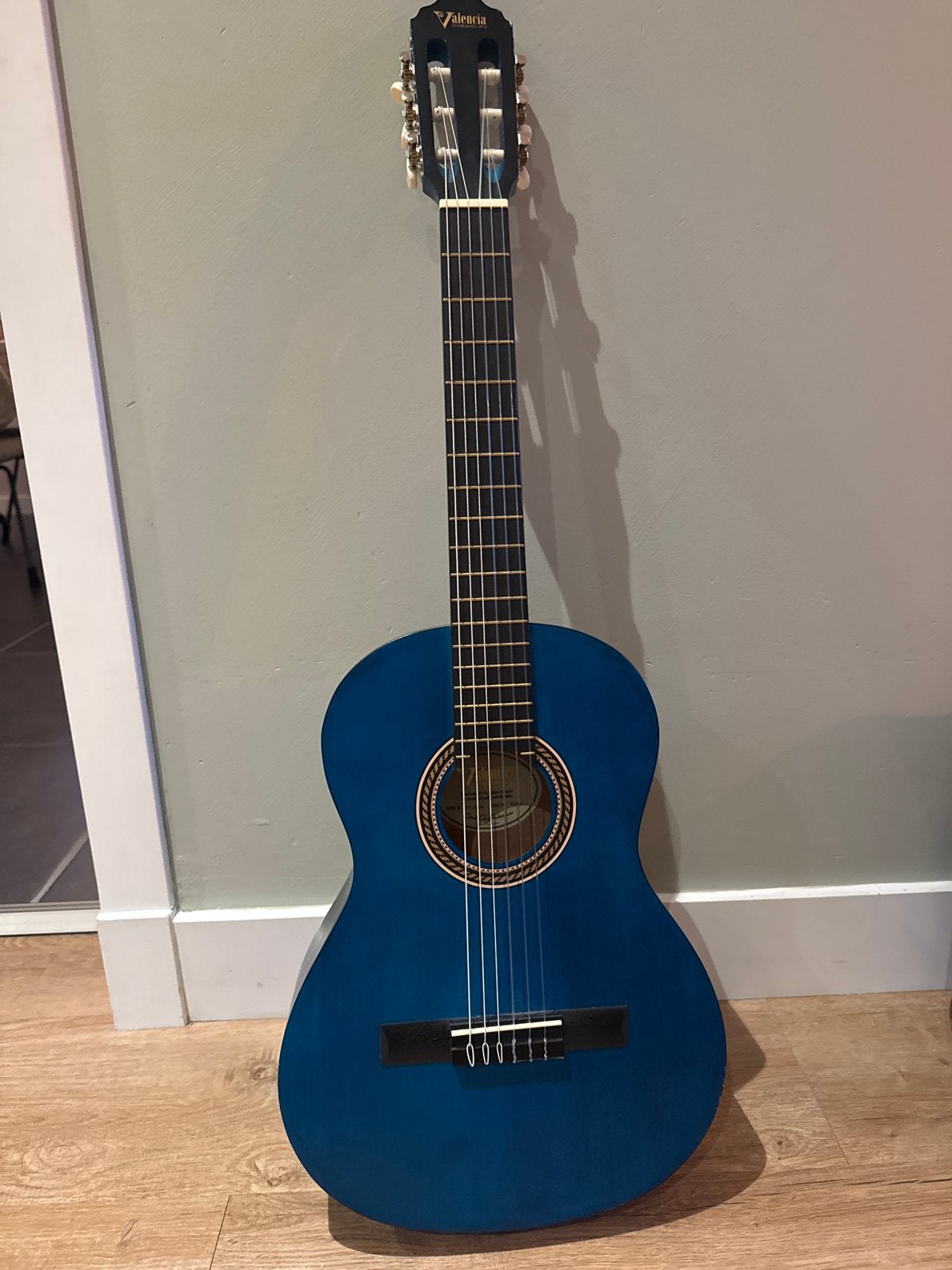 Valencia Spaanse gitaar - Blauw inclusief hoes, Ophalen, Gebruikt, Klassieke of Spaanse gitaar, Met koffer