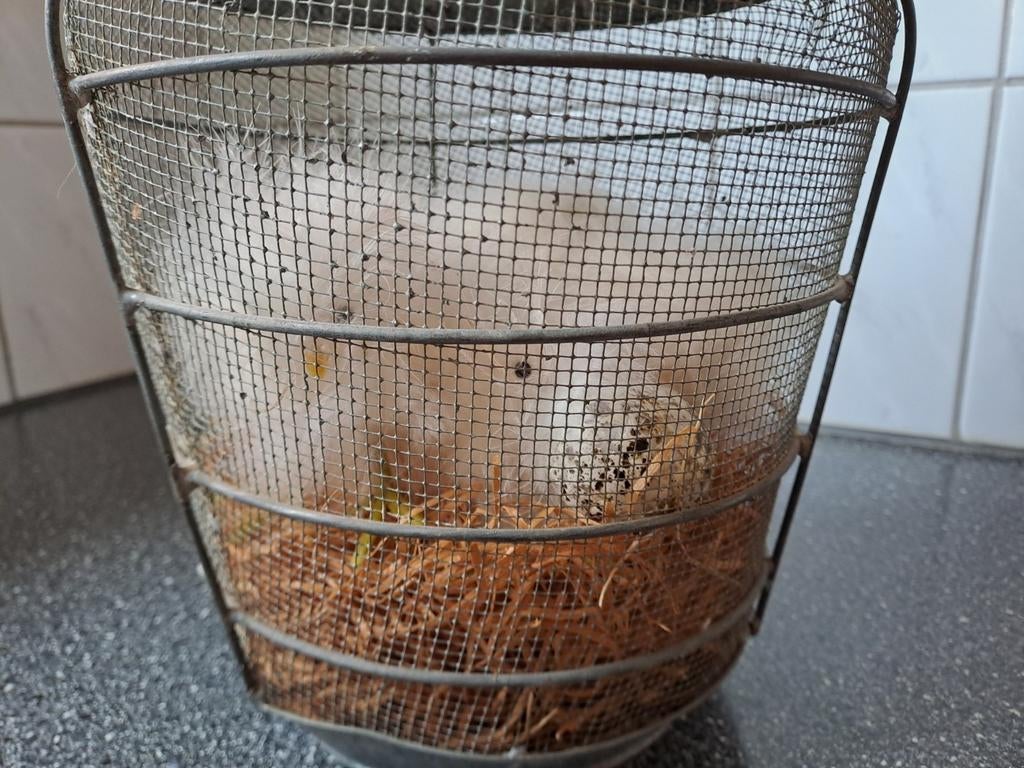 Leuke paasdeco melkbus stro kuikens, Diversen, Pasen, Ophalen of Verzenden, Zo goed als nieuw, N.v.t, N.v.t