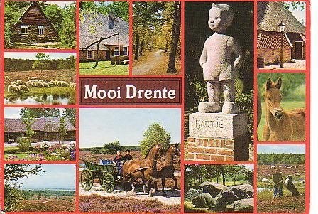 Ansichtkaart 	Drenthe	12-luik	Bartje	Paarden, Verzenden, 1980 tot heden, Gelopen, Drenthe