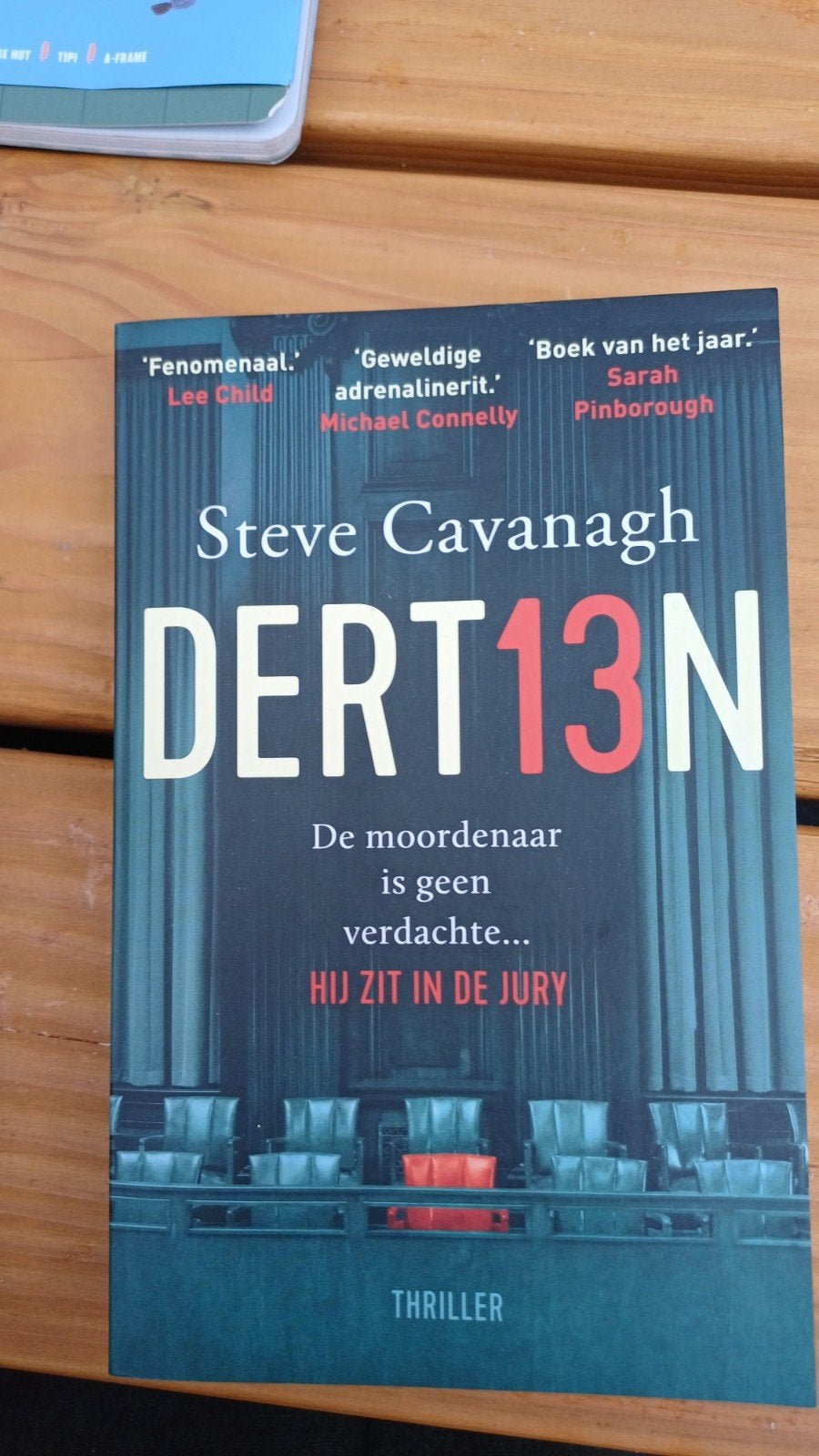DERT13N - Steve Cavanagh - Spannende thriller, Boeken, Ophalen of Verzenden, Gelezen, Steve Cavanagh