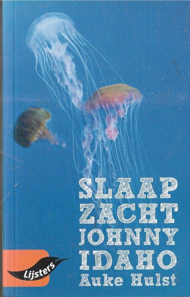 Auke Hulst Slaap zacht Johnny Idaho, Boeken, Ophalen of Verzenden, Zo goed als nieuw, Nederland