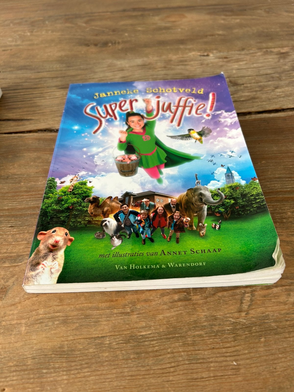 Super juffie boek, Overige soorten, Ophalen of Verzenden, Zo goed als nieuw, Vanaf 9 jaar