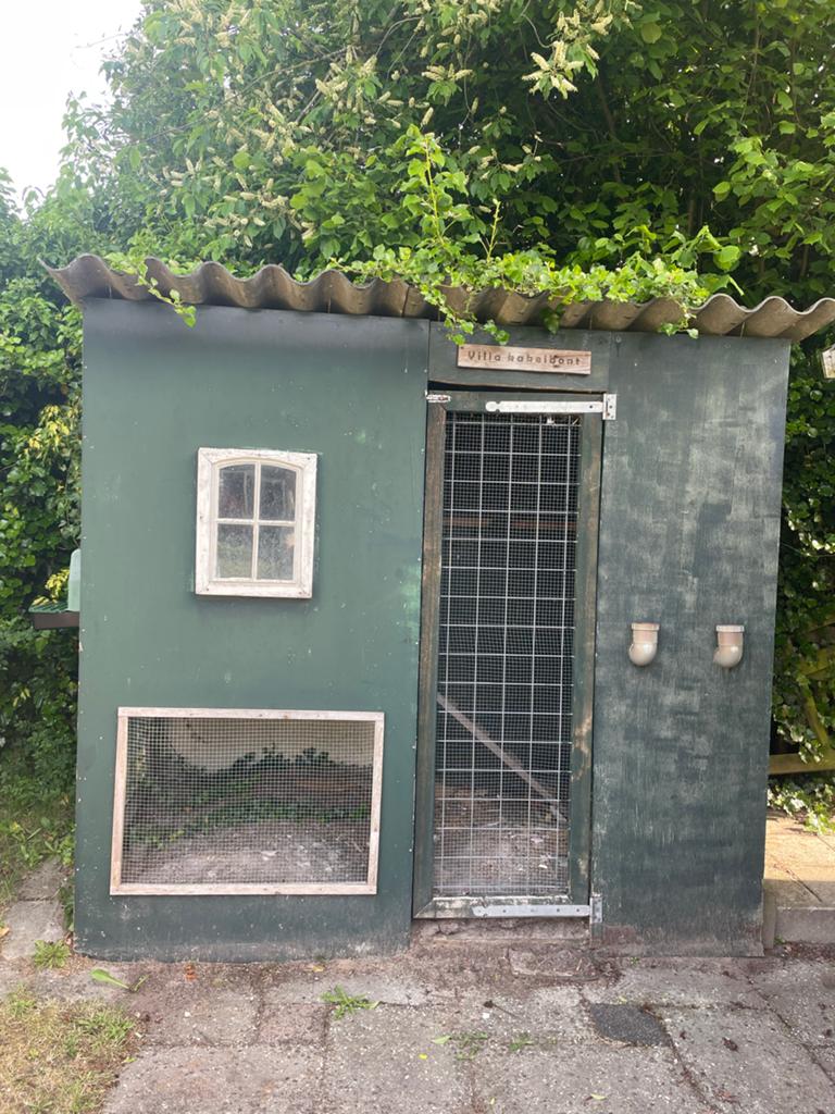 Kippenhok te koop, Dieren en Toebehoren, Pluimvee | Toebehoren, Ophalen, Kippenhok of Kippenren