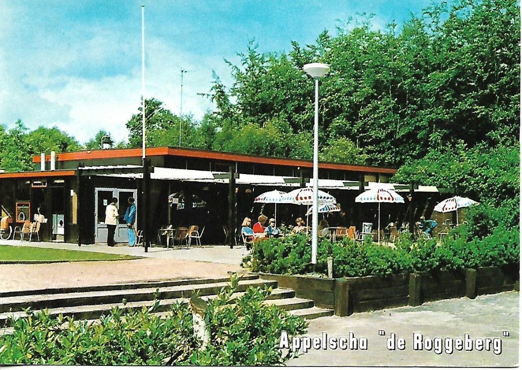 Appelscha- -De Roggeberg., Ophalen of Verzenden, 1980 tot heden, Gelopen, Friesland