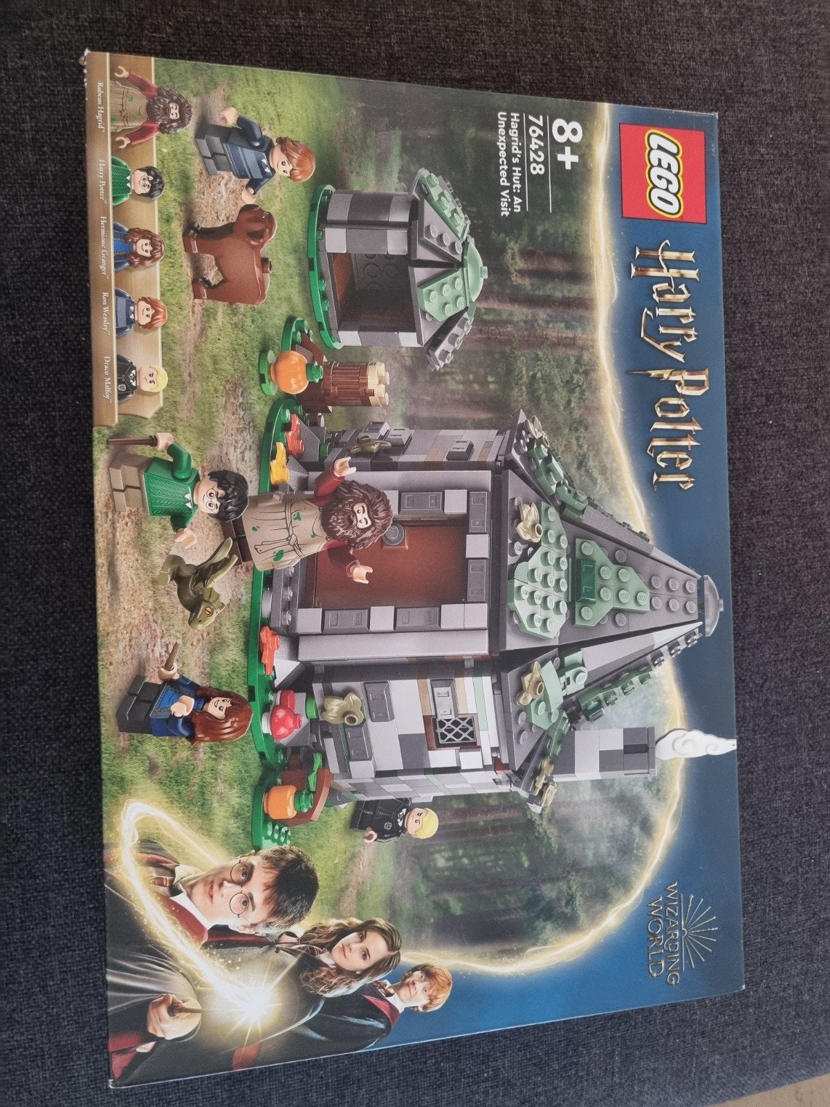 LEGO Harry Potter Hagrid's Hut 76428 - Doos beschadigd, Ophalen, Nieuw