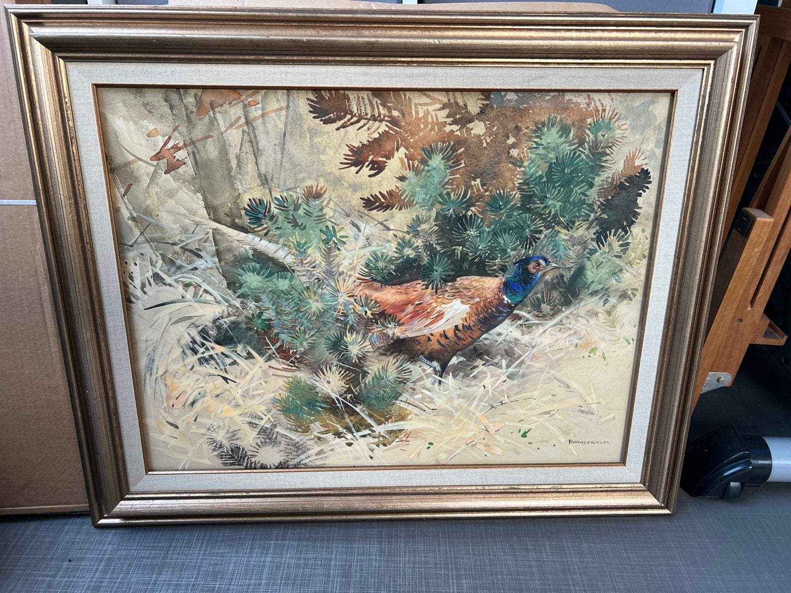 Prachtige topaquarel van Piet van der Hem - Fazant, Realistisch, Dieren, Ophalen of Verzenden, Aquarel