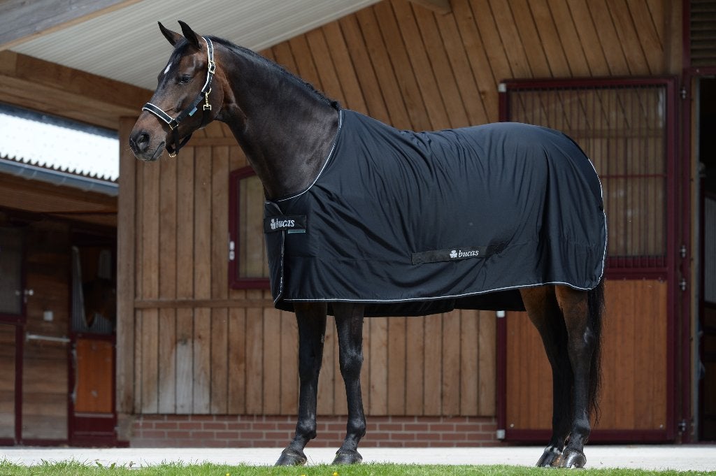Bucas Shamrock Power zweetdeken 168,175,183,191,198,206,213, Dieren en Toebehoren, Paarden en Pony's | Dekens en Dekjes, Bucas