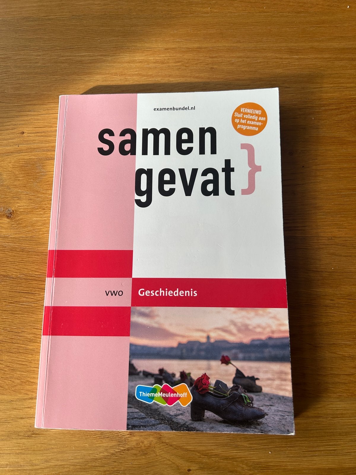 Samengevat VWO Geschiedenis Examenbundel, Boeken, Ophalen of Verzenden, 20e eeuw of later, Zo goed als nieuw