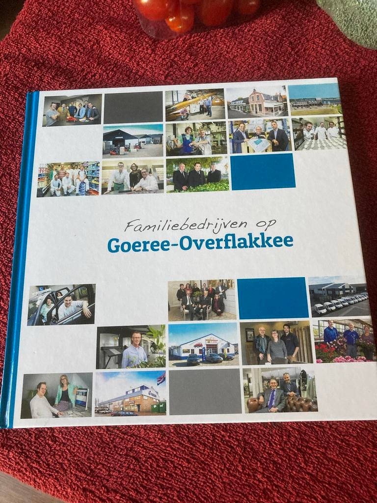 Boek: Familiebedrijven op Goeree Overflakkee, Ophalen of Verzenden, Gelezen