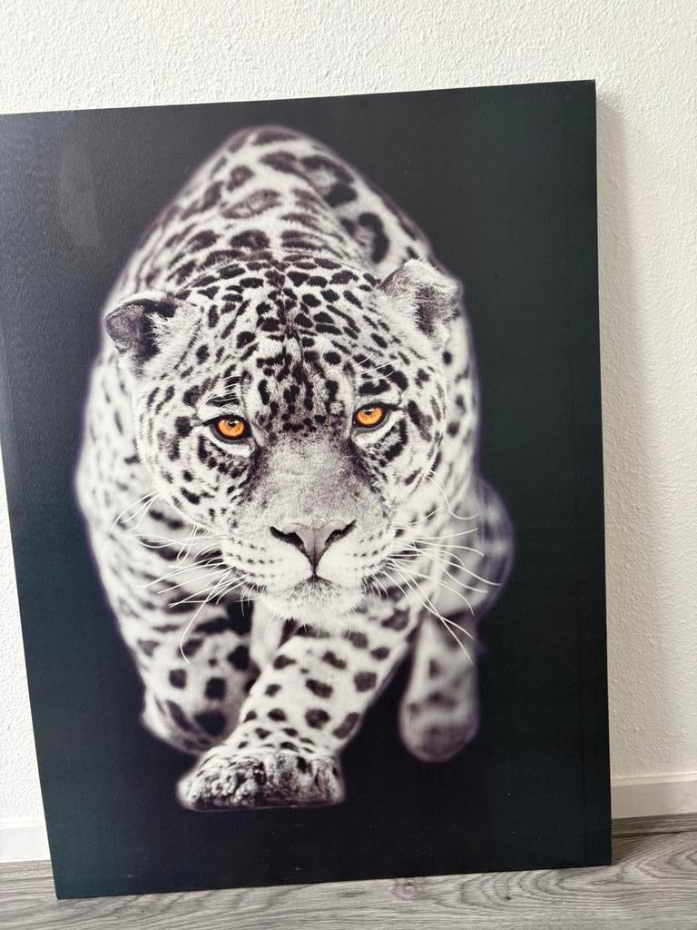 Panter schilderij, Ophalen, Zo goed als nieuw, Schilderij