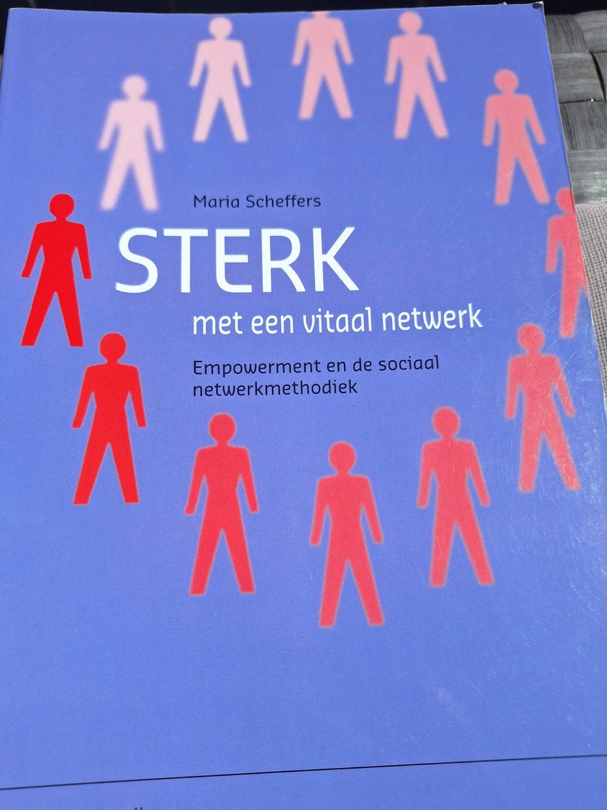 Sterk met een vitaal netwerk - Maria Scheffers, Ophalen of Verzenden