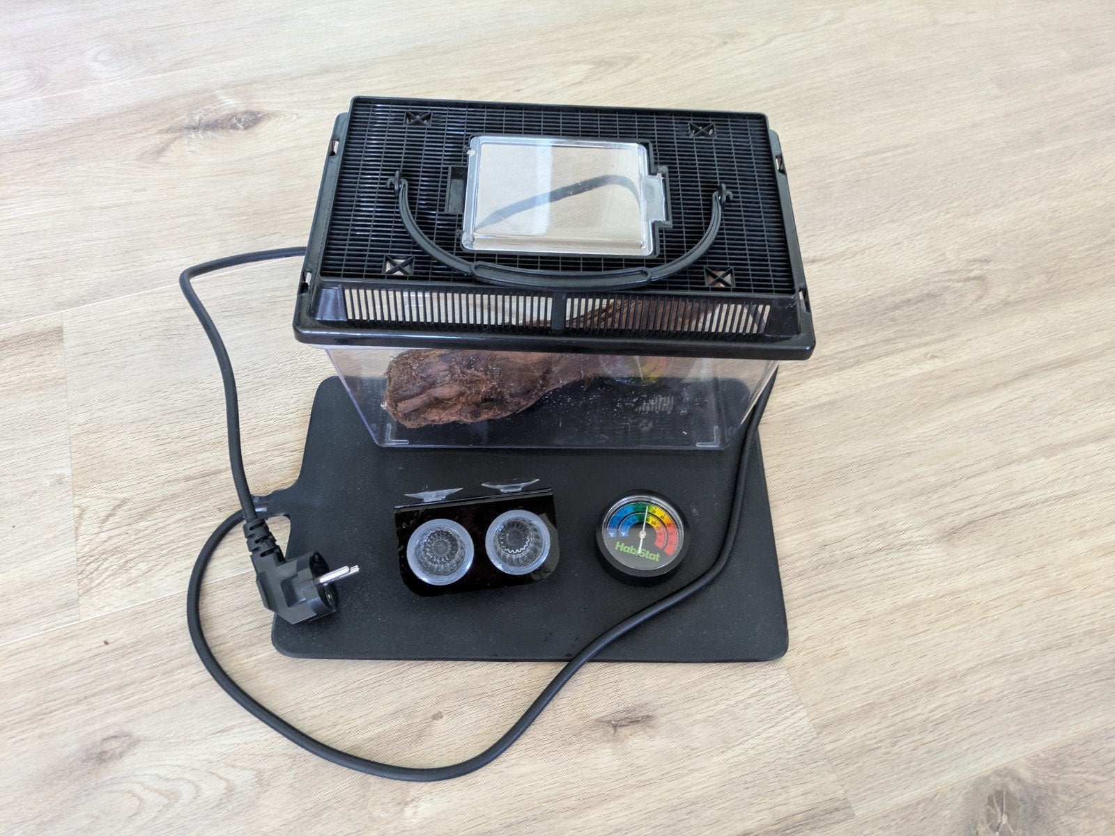 mini terrarium compleet, Ophalen of Verzenden, Zo goed als nieuw, Terrarium of Paludarium