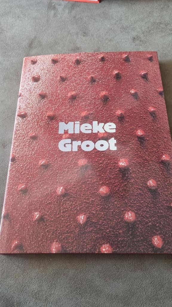 Mieke Groot - Glasobjecten en Retrospectief, Ophalen of Verzenden, Zo goed als nieuw, Overige onderwerpen, Mieke Groot, Dan Klein, Marjan Unger