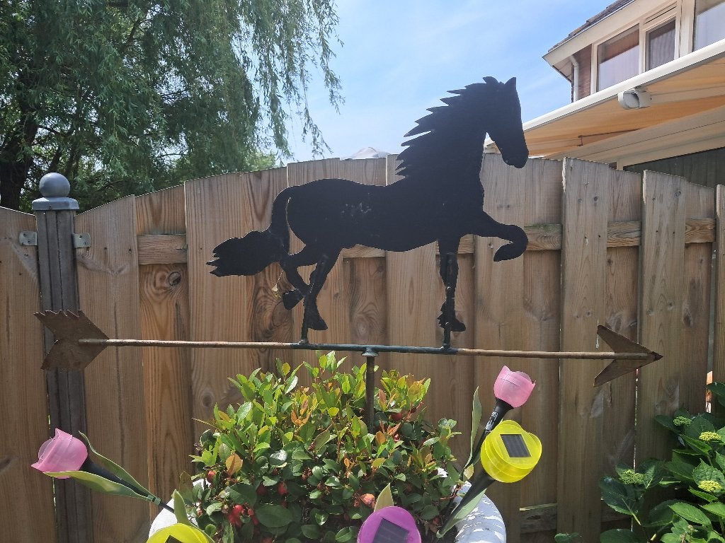 Windwijzer, Tuin en Terras, Windwijzers en Windmolens, Ophalen, Gebruikt